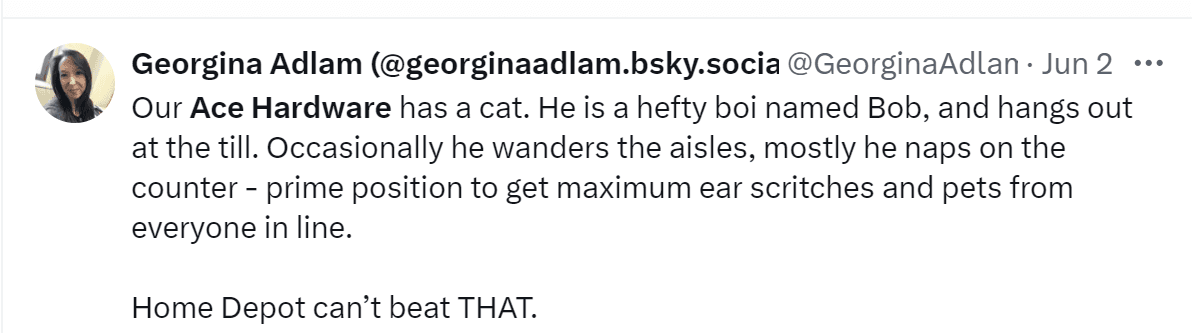 A tweet by Georgina Adlam: "Our Ace Hardware has a cat. He is a hefty boi named Bob, and hangs out at the till. Occasionally he wanders the aisles, mostly he naps on the counter - prime position to get maximum ear scritches and pets from everyone in line. Home Depot can't beat THAT."