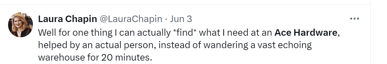 A tweet by Laura Chapin: "Well for one thing I can actually find what I need at an Ace Hardware, helped by an actual person, instead of wandering a vast echoing warehouse for 20 minutes."