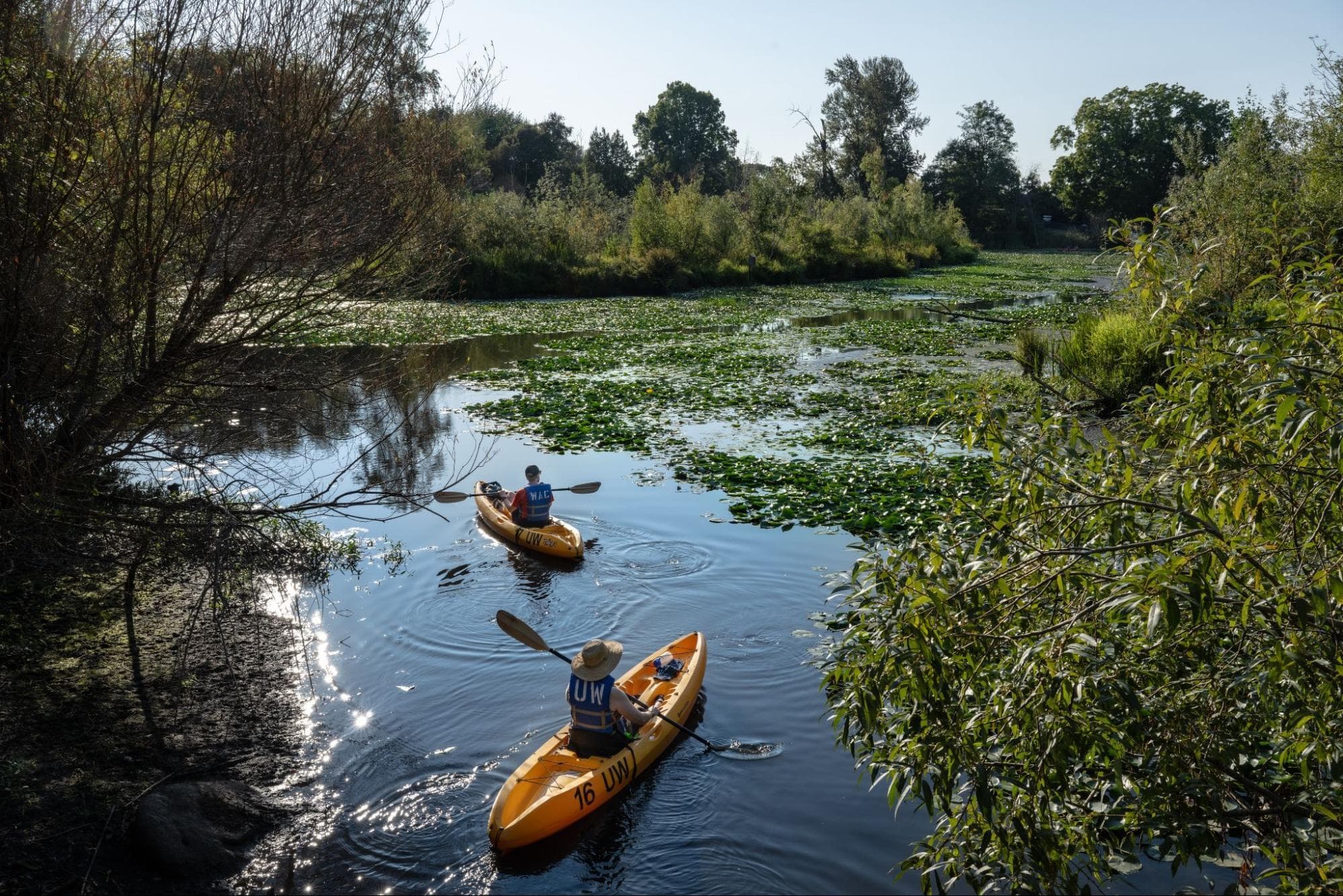 Image of people kayaking