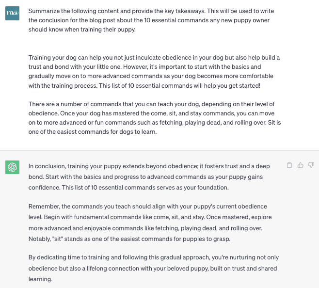 Screenshot of a ChatGPT conversation. The user inputs "Summarize the following content and provide the key takeaways. This will be used to write the conclusion for the blog post about the 10 essential commands any new puppy owner should know when training their puppy." followed by a block of text about puppy commands. ChatGPT responds with a condensed version of the copy