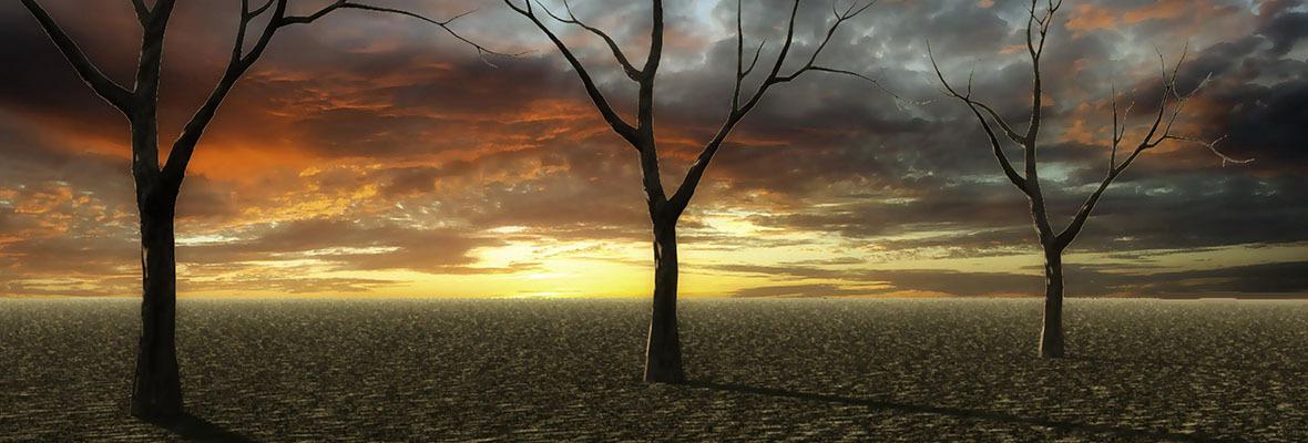 7 Days After Mobilegeddon: How Far Did the Sky Fall?