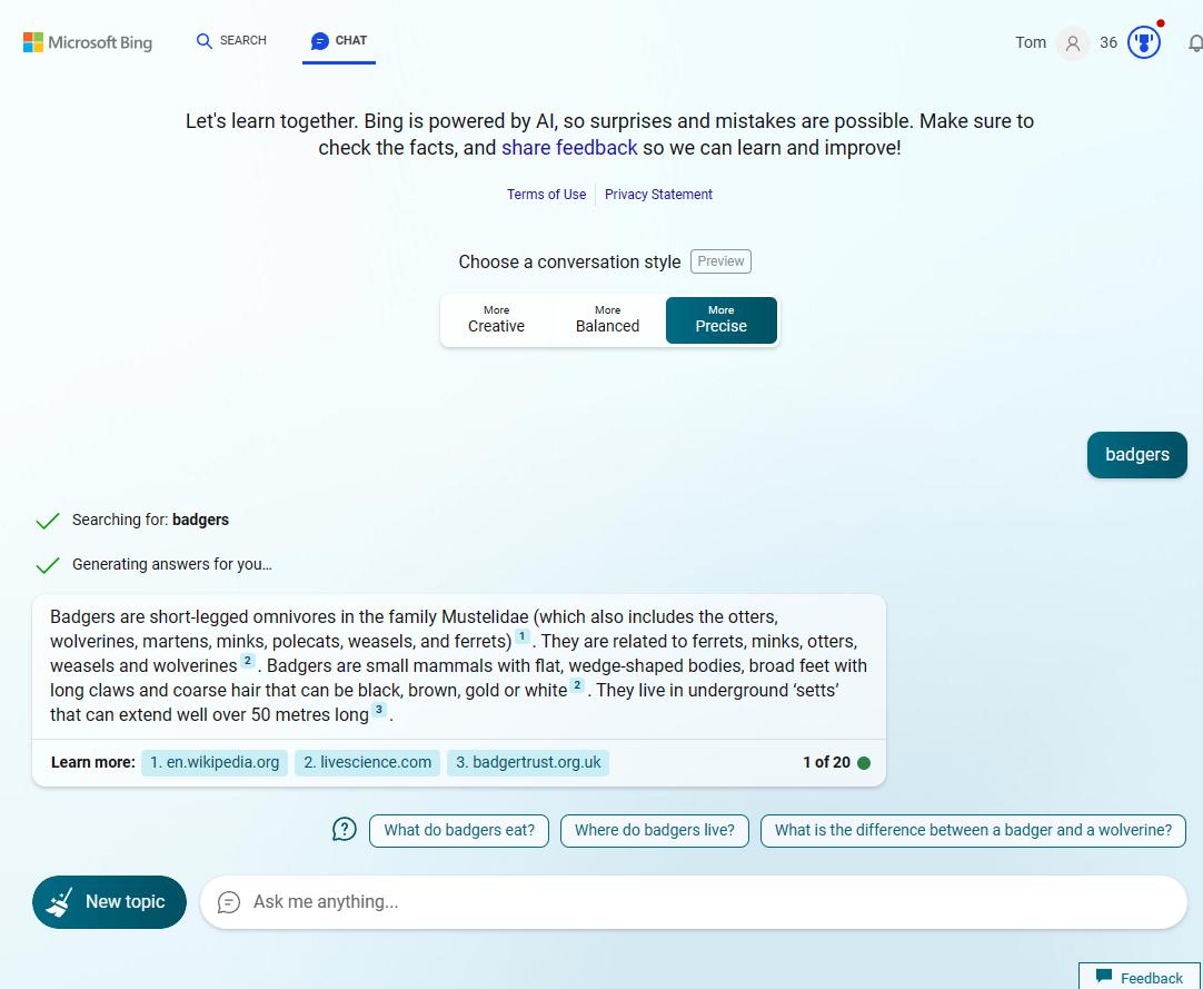 bing chat badgers