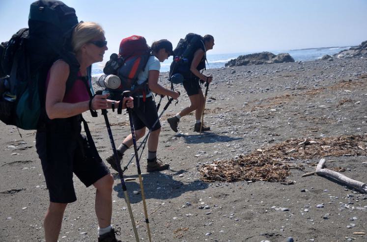 Three hikers with rucksacks and hiking poles mid-hike.