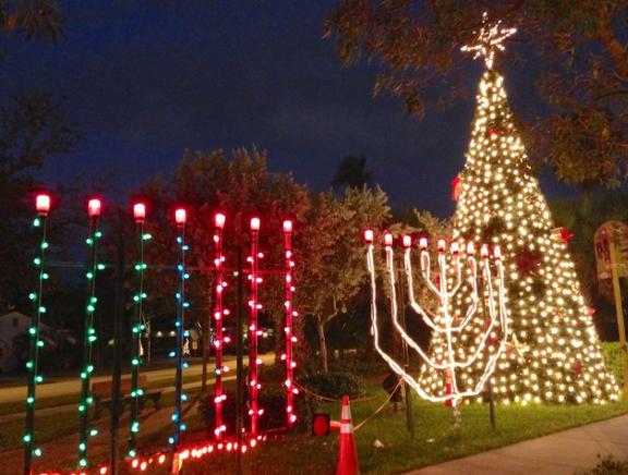 Christmas tree lit up with lights in a park.