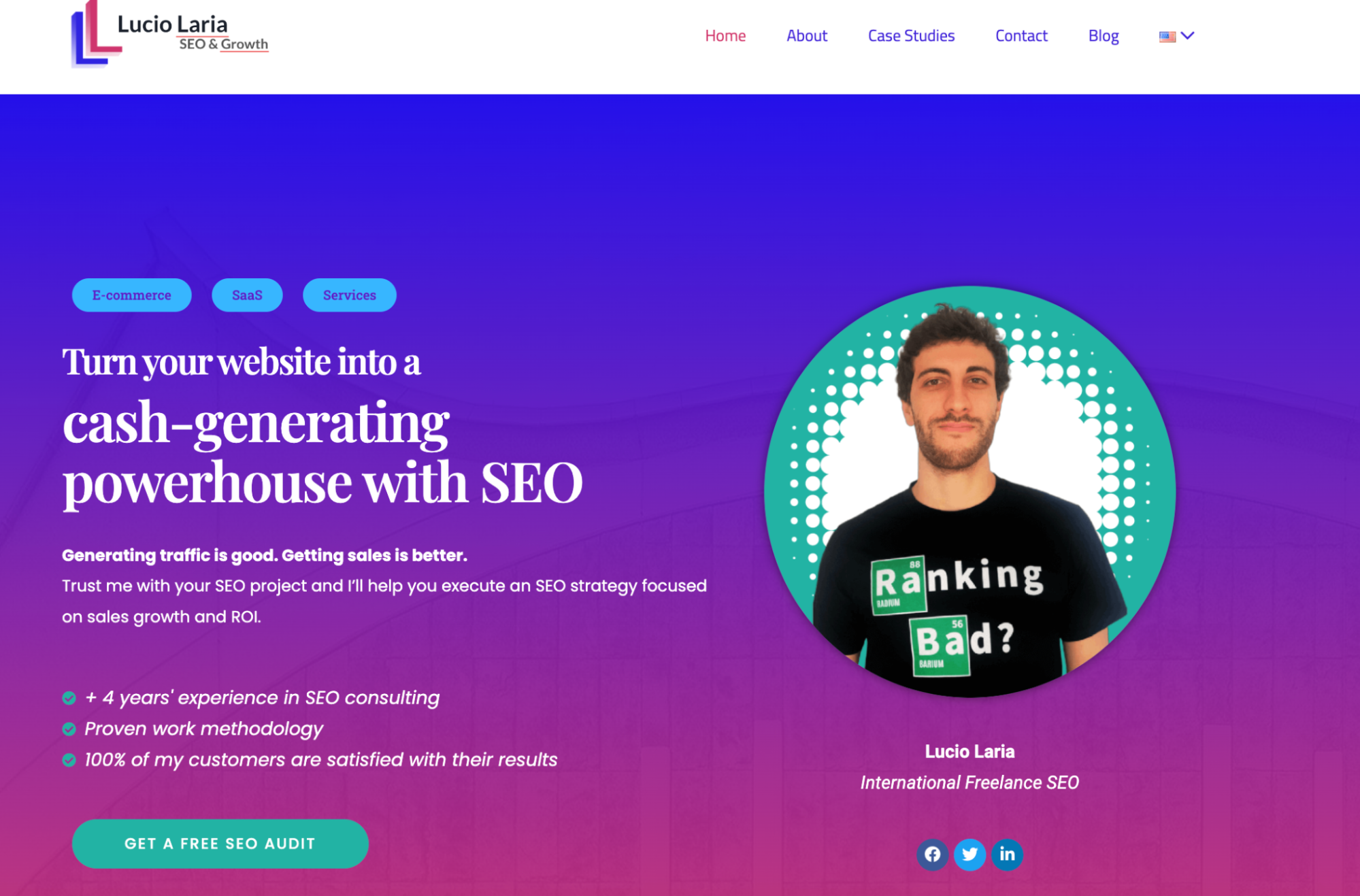 Freelance SEO Consultant website example