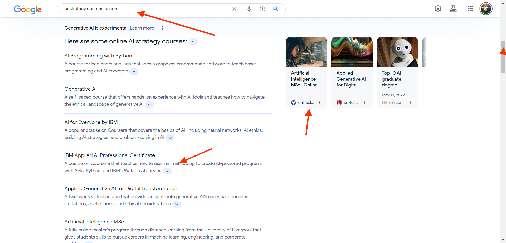 Google-SGE-Search Result