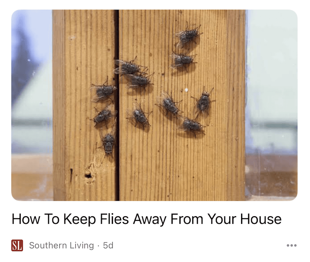 Article titled "How to Keep Flies Away From Your House"
