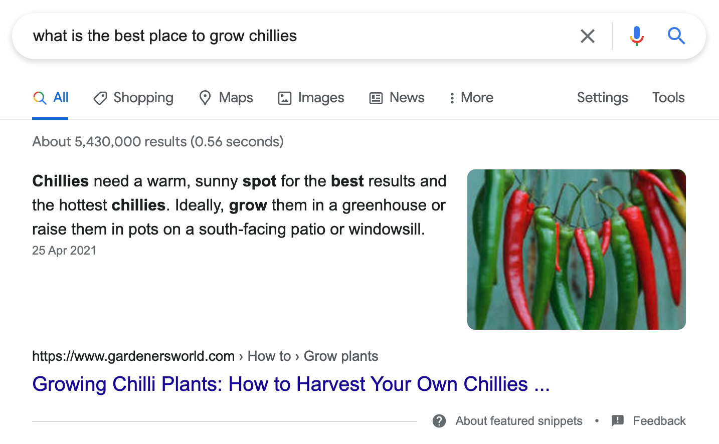 Google SERP for the search term 'what is the best place to grow chillies?'
