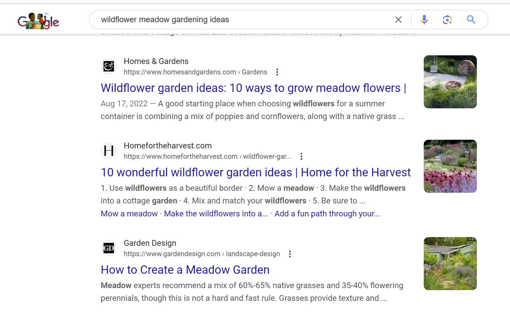 screenshot of search in google for "wildflower meadow garden ideas"