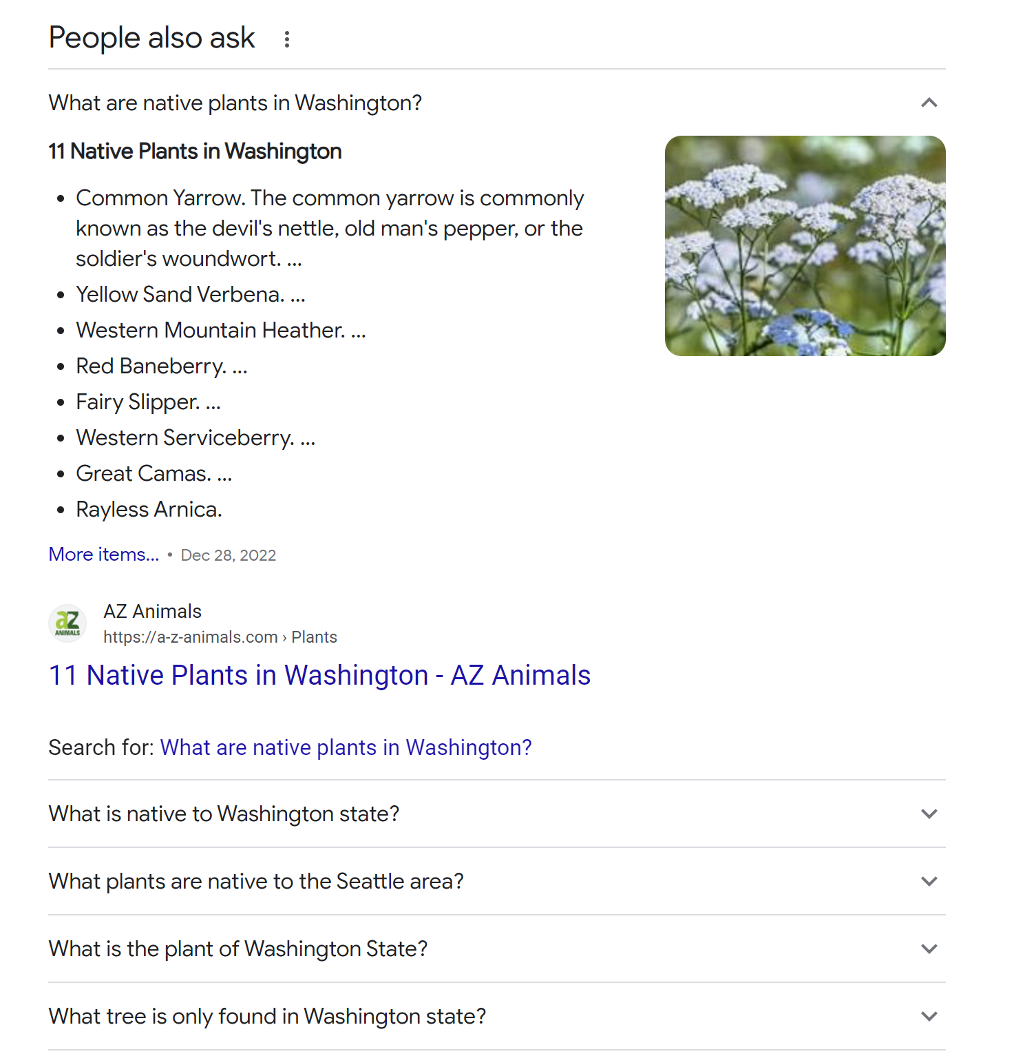 Screenshot of People Also Ask (PAA) section showing related questions users frequently search for.