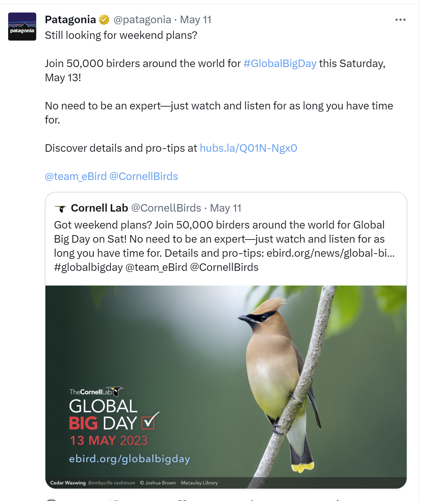 screenshot of tweet from patagonia clothing brand