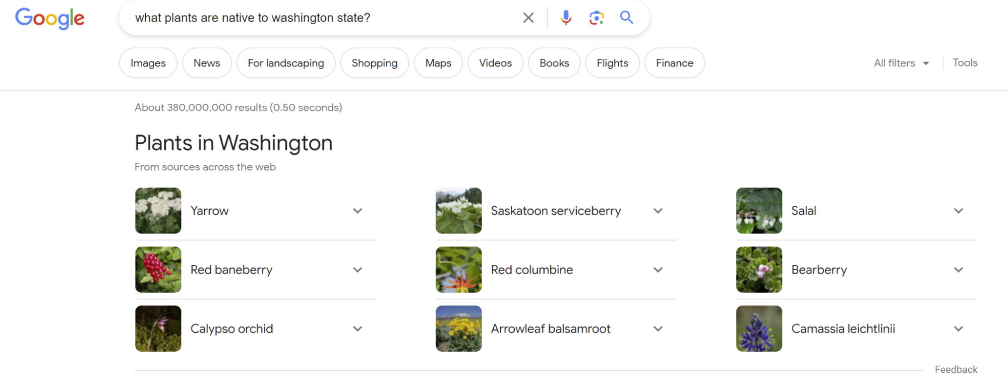 Example of a featured snippet at the top of search results providing a quick answer to a user query.